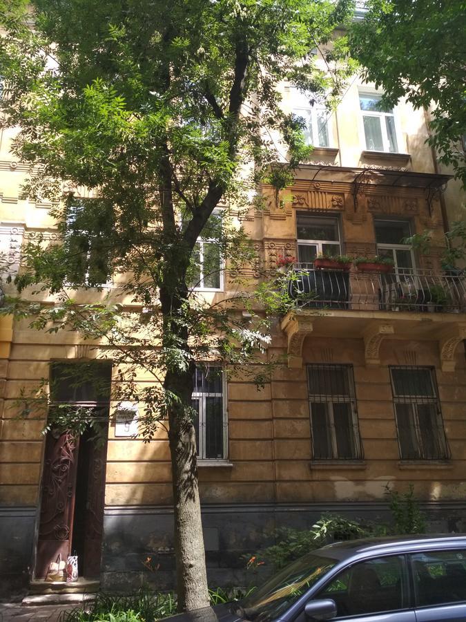 Cosy flat Apartment Liov Exterior foto